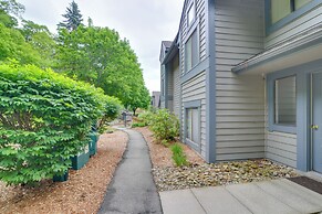 Swiss Mtn Condo: 3 Mi to Seven Springs Resort