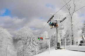 Swiss Mtn Condo: 3 Mi to Seven Springs Resort