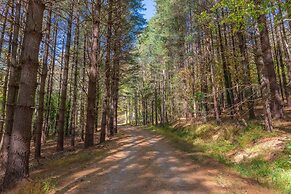 Hot Tub, Fire Pit: Waynesville Getaway Near Hiking