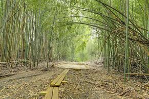 Hot Tub, Fire Pit: Waynesville Getaway Near Hiking