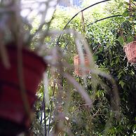 Casa Vacanze da Vicenta