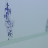 Casa Vacanze da Vicenta