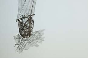 Casa Vacanze da Vicenta