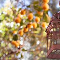 Casa Vacanze da Vicenta