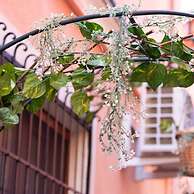 Casa Vacanze da Vicenta