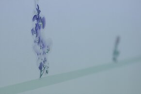 Casa Vacanze da Vicenta