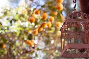 Casa Vacanze da Vicenta