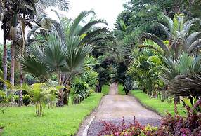 Brand new Guest Single Room 16 min From Airport