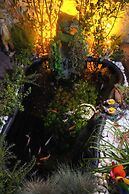 Müzeyyen Hanım Konağı Alaçatı 12+