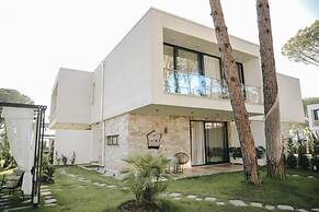 Parrot's Home Lalez Bay