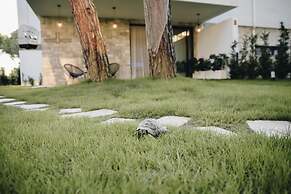 Parrot's Home Lalez Bay