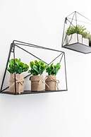 Bental's Dream Place With Lake And Sea View