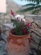 Bental's Dream Place With Lake And Sea View