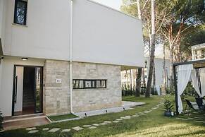 Parrot's Home Lalez Bay