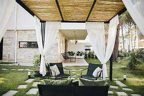 Parrot's Home Lalez Bay