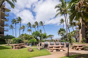 Sea-rene & Tropical Vistas