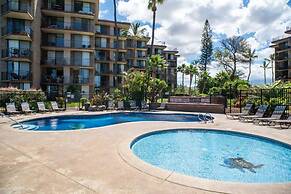 Tranquil Oceanfront Vistas