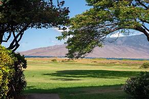 Tranquil Oceanfront Vistas