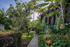 Tropical & Serene Garden Vistas