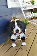 The Blue Cottage B&B