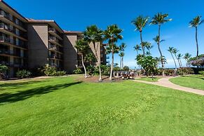 Calming Coastal Vistas