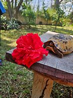 Room in Guest Room - 38m2 Turtle Suite in a 560 m2 Villa, Indian Ocean