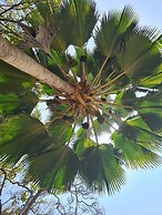 Room in Guest Room - 38m2 Turtle Suite in a 560 m2 Villa, Indian Ocean