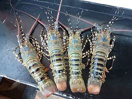 Room in Guest Room - 38m2 Turtle Suite in a 560 m2 Villa, Indian Ocean