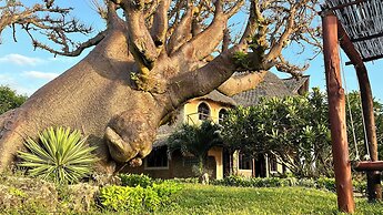 Room in Guest Room - 38m2 Turtle Suite in a 560 m2 Villa, Indian Ocean