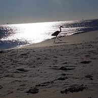 6033 Rookey 3 Salty Lil Beach House