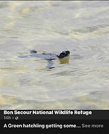 6033 Rookey 3 Salty Lil Beach House