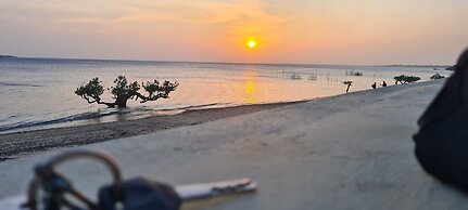 Room in Guest Room - Colobus Suite of 40m2 in Villa 560 m2, View of th