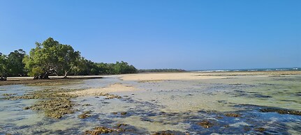 Room in Guest Room - Colobus Suite of 40m2 in Villa 560 m2, View of th