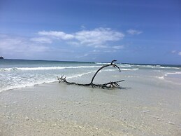 Room in Guest Room - Colobus Suite of 40m2 in Villa 560 m2, View of th