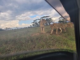 Room in Guest Room - Colobus Suite of 40m2 in Villa 560 m2, View of th