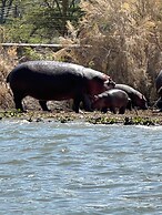 Room in Guest Room - Colobus Suite of 40m2 in Villa 560 m2, View of th