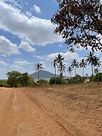 Room in Guest Room - Colobus Suite of 40m2 in Villa 560 m2, View of th