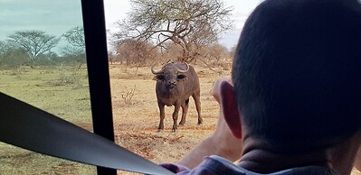 Room in Guest Room - Colobus Suite of 40m2 in Villa 560 m2, View of th