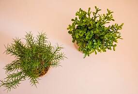 Family Villa Hera With Sea View