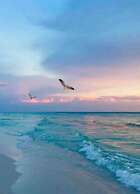 Sandy Toes 7028 2 Pools Beach New New