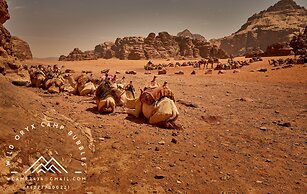 Wild Oryx Camp Bubbles