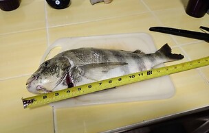 Room-flamingo Room on the Cotee River