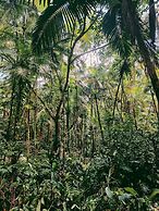 Hostel Cultural Jussara