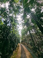 Hostel Cultural Jussara