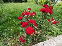 Studio Apartment Hamallaj Beach