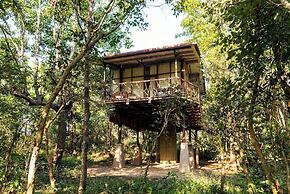 Kanha Jungle Camp