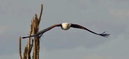 Wagawimbi Villa 560 m2, Breathtaking View of the Indian Ocean, Kenya