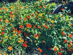 Phaedra House For Relaxing Holidays Near Platanias