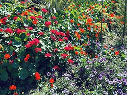 Phaedra House For Relaxing Holidays Near Platanias