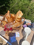 Résidence Casa U Fornu